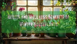 health and wellness benefits of winter houseplants