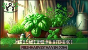 herb care and maintenance