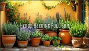 herbs needing full sun