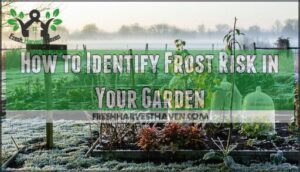 how to identify frost risk in your garden