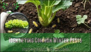 identifying common winter pests
