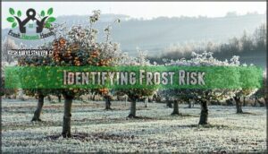 identifying frost risk