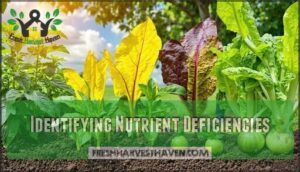identifying nutrient deficiencies