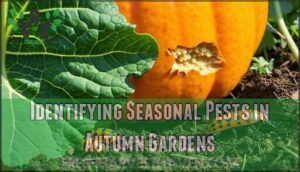 identifying seasonal pests in autumn gardens