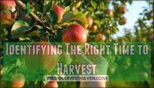 identifying the right time to harvest