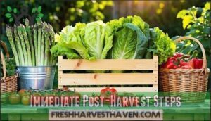 immediate post-harvest steps