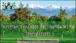 importance of cross-pollination in low temperatures