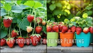 in-ground vs. container planting