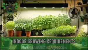 indoor growing requirements