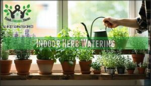 indoor herb watering