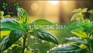 insecticidal soap