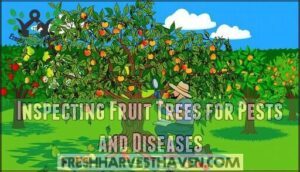 inspecting fruit trees for pests and diseases