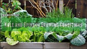 kale and spinach growing conditions