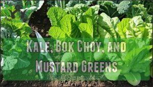kale, bok choy, and mustard greens