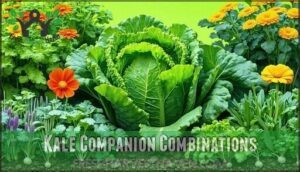 kale companion combinations