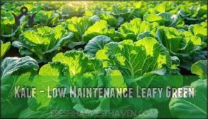 kale – low maintenance leafy green