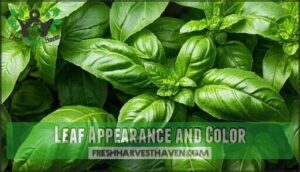 leaf appearance and color