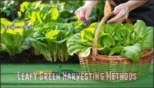 leafy green harvesting methods
