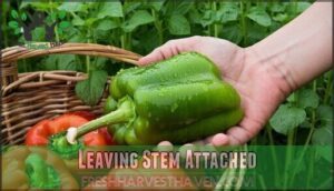 leaving stem attached