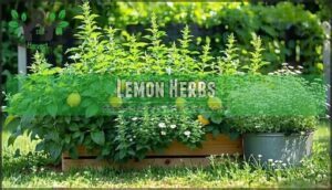 lemon herbs