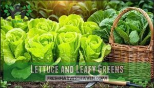 lettuce and leafy greens