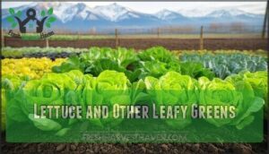 lettuce and other leafy greens