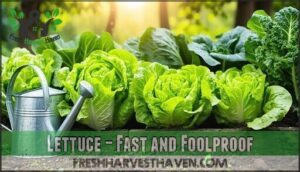 lettuce – fast and foolproof