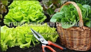 lettuce, spinach, and swiss chard