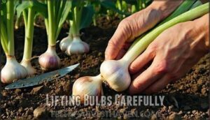 lifting bulbs carefully