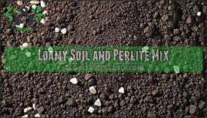 loamy soil and perlite mix