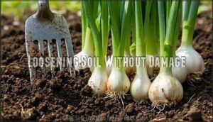 loosening soil without damage