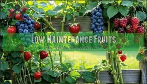 low maintenance fruits