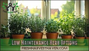 low maintenance herb options