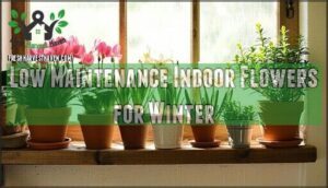 low maintenance indoor flowers for winter