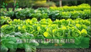 maintaining garden health