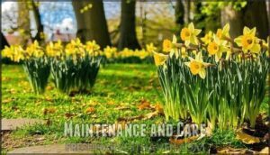 maintenance and care
