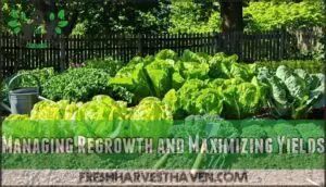 managing regrowth and maximizing yields