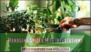 managing spider mite infestations