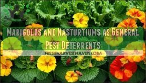 marigolds and nasturtiums as general pest deterrents