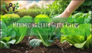 maximizing leafy green yields