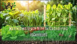 maximizing space with intercropping techniques