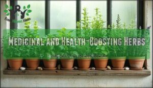 medicinal and health-boosting herbs