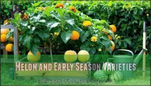 melon and early season varieties