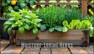 moisture-loving herbs
