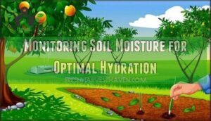 monitoring soil moisture for optimal hydration