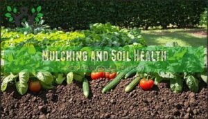mulching and soil health