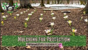 mulching for protection