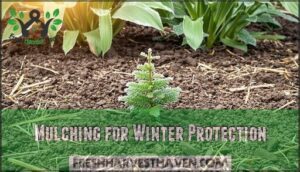 mulching for winter protection