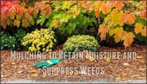 mulching to retain moisture and suppress weeds