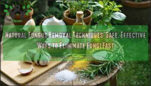 natural fungus removal techniques